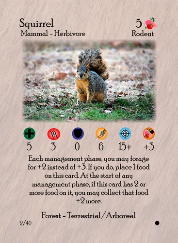 Squirrel — Kingdom Animalia TCG card